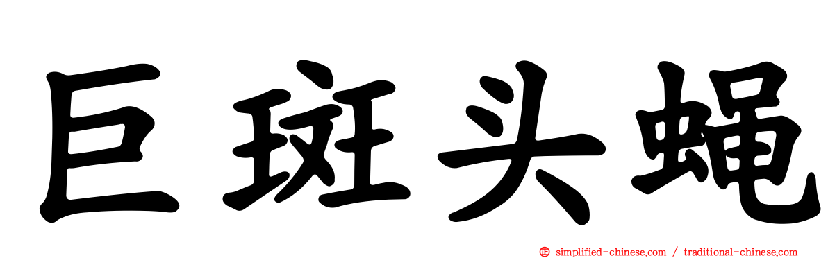 巨斑头蝇