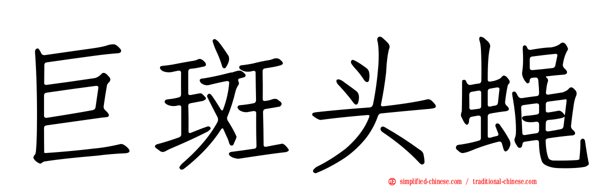 巨斑头蝇