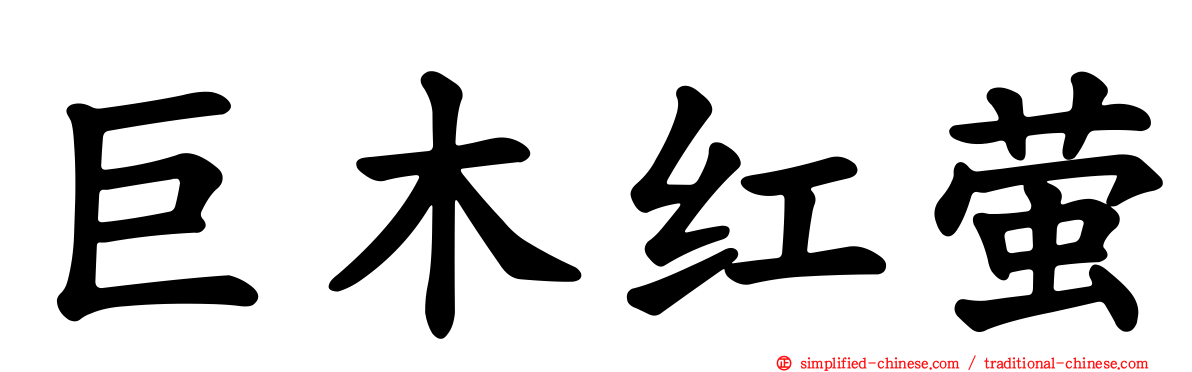 巨木红萤