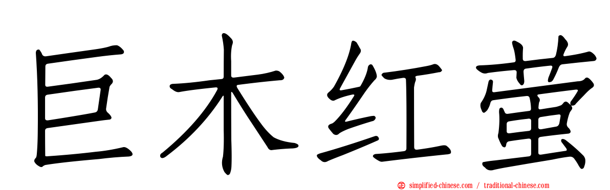 巨木红萤