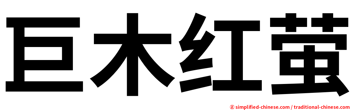 巨木红萤