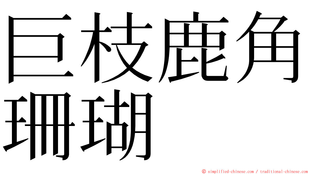 巨枝鹿角珊瑚 ming font