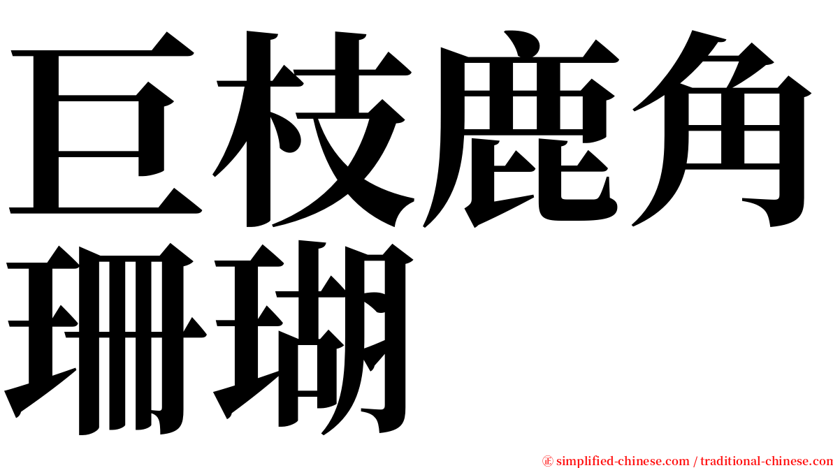 巨枝鹿角珊瑚 serif font
