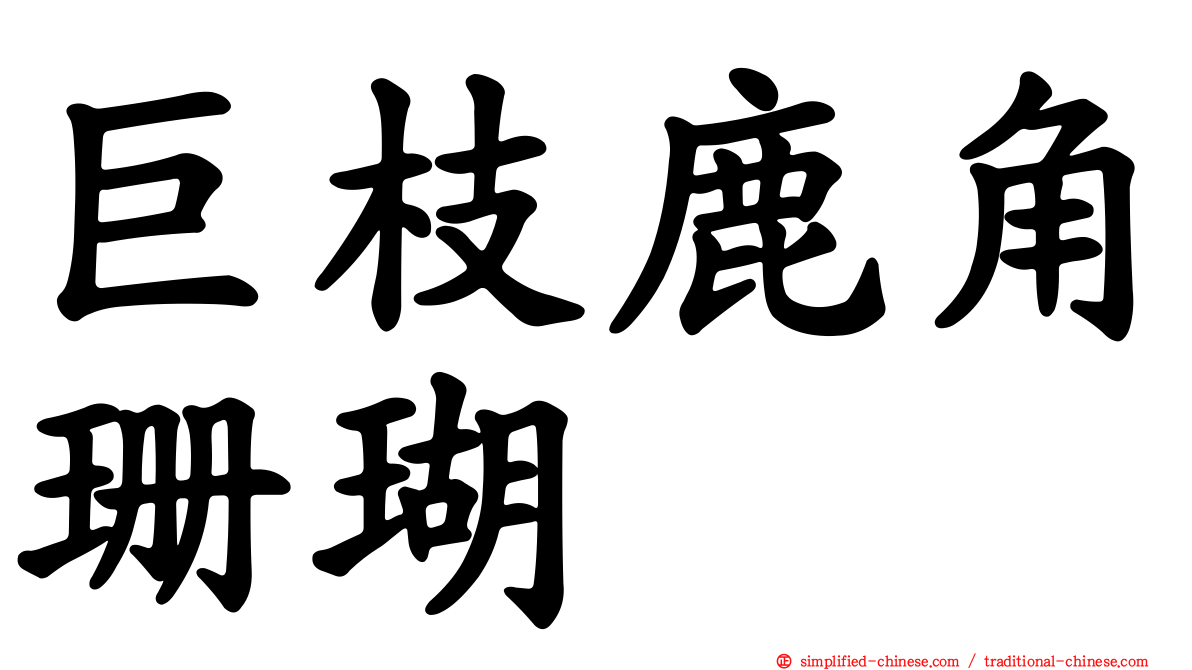 巨枝鹿角珊瑚