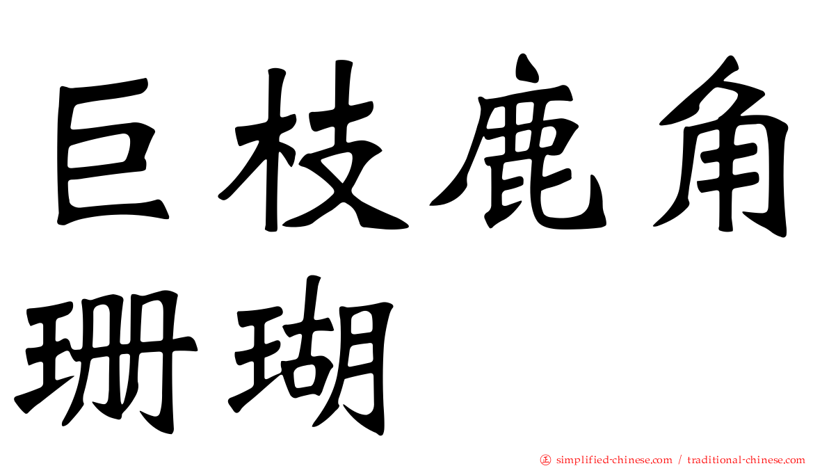 巨枝鹿角珊瑚