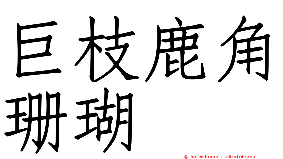 巨枝鹿角珊瑚