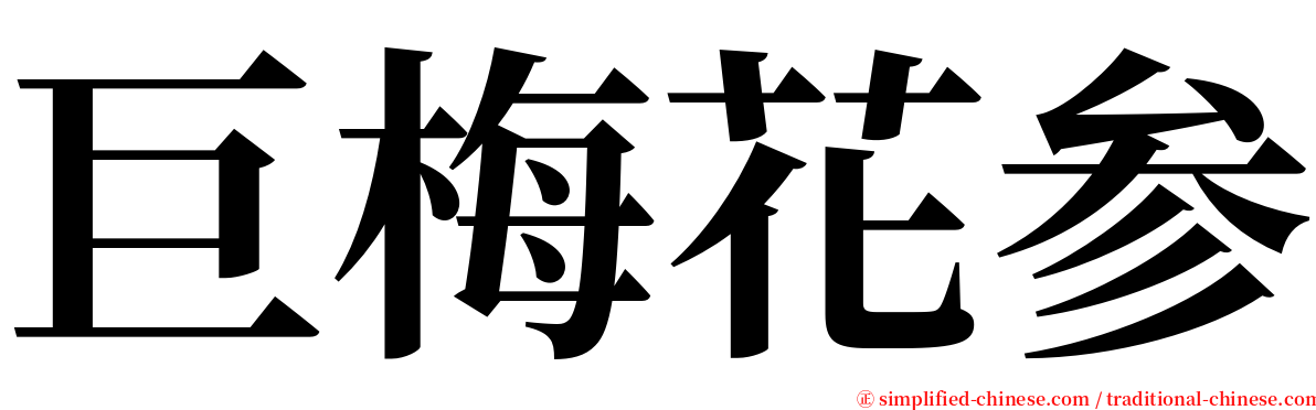 巨梅花参 serif font