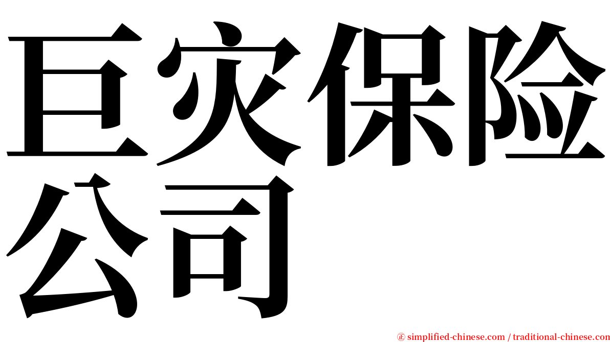 巨灾保险公司 serif font