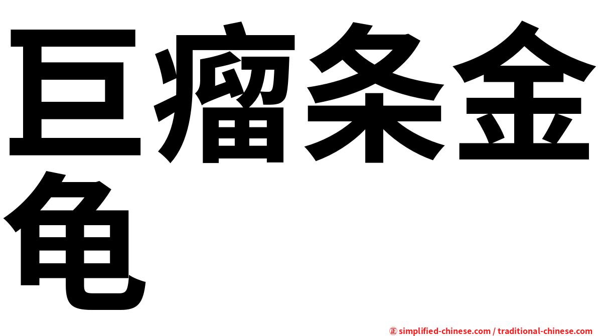 巨瘤条金龟