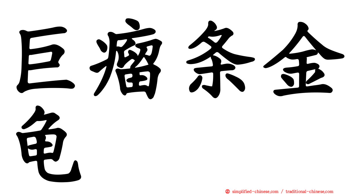 巨瘤条金龟