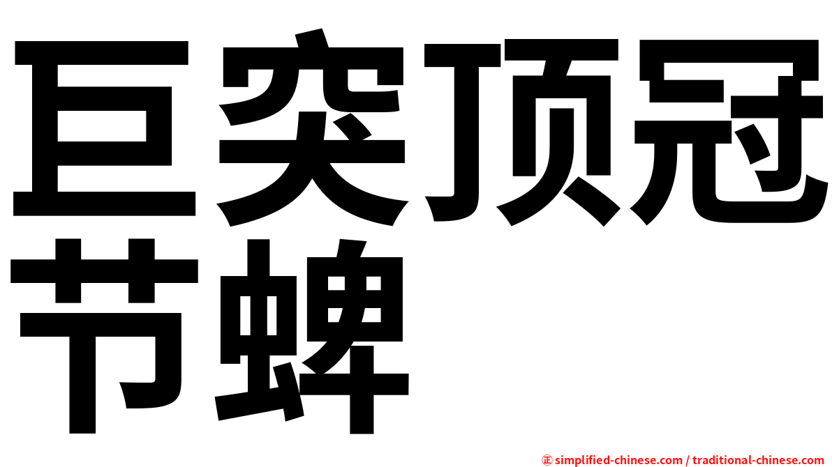 巨突顶冠节蜱