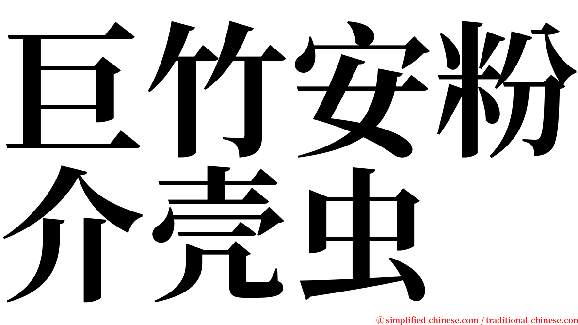 巨竹安粉介壳虫 serif font