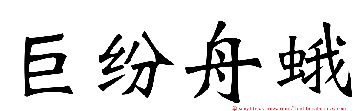 巨纷舟蛾