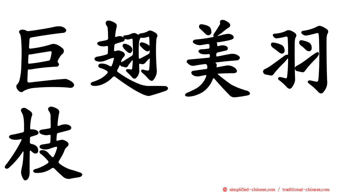 巨翅美羽枝