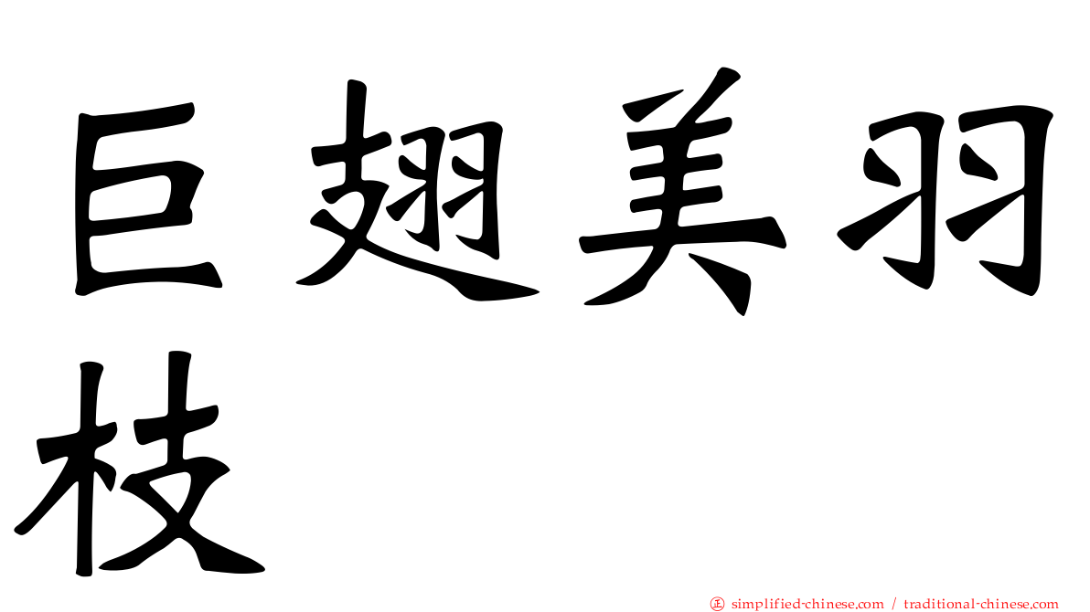 巨翅美羽枝