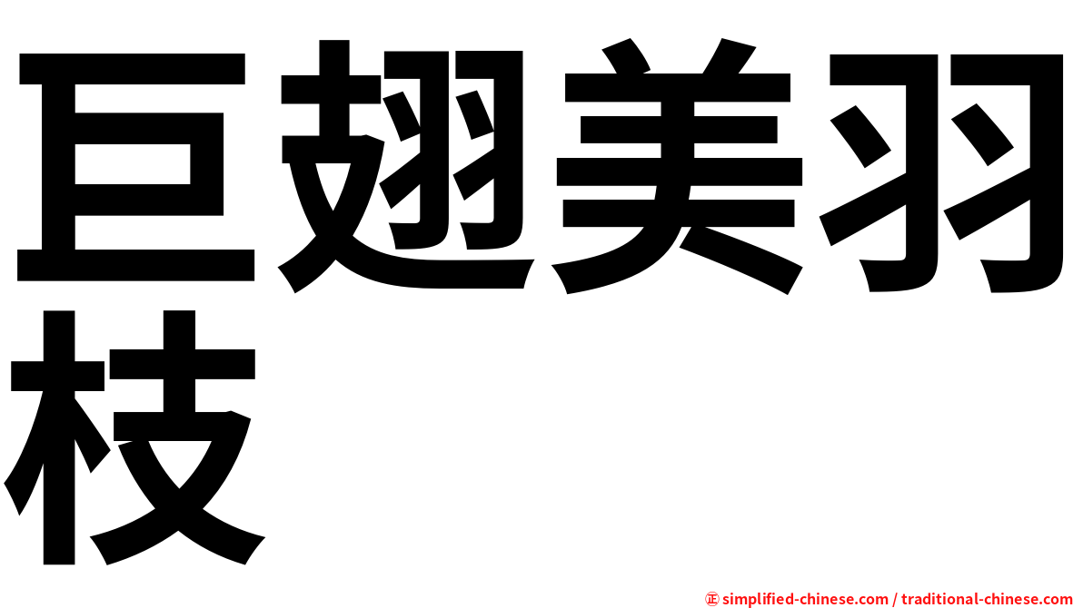 巨翅美羽枝