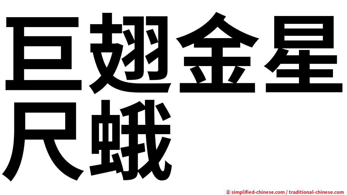 巨翅金星尺蛾