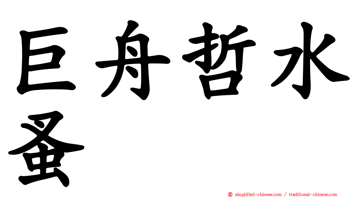 巨舟哲水蚤
