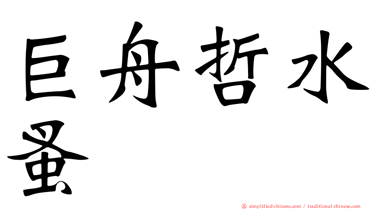 巨舟哲水蚤