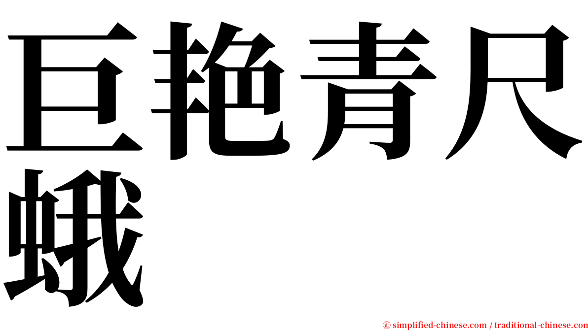 巨艳青尺蛾 serif font
