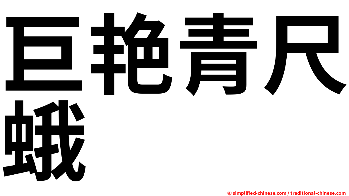 巨艳青尺蛾