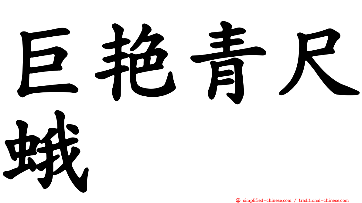 巨艳青尺蛾