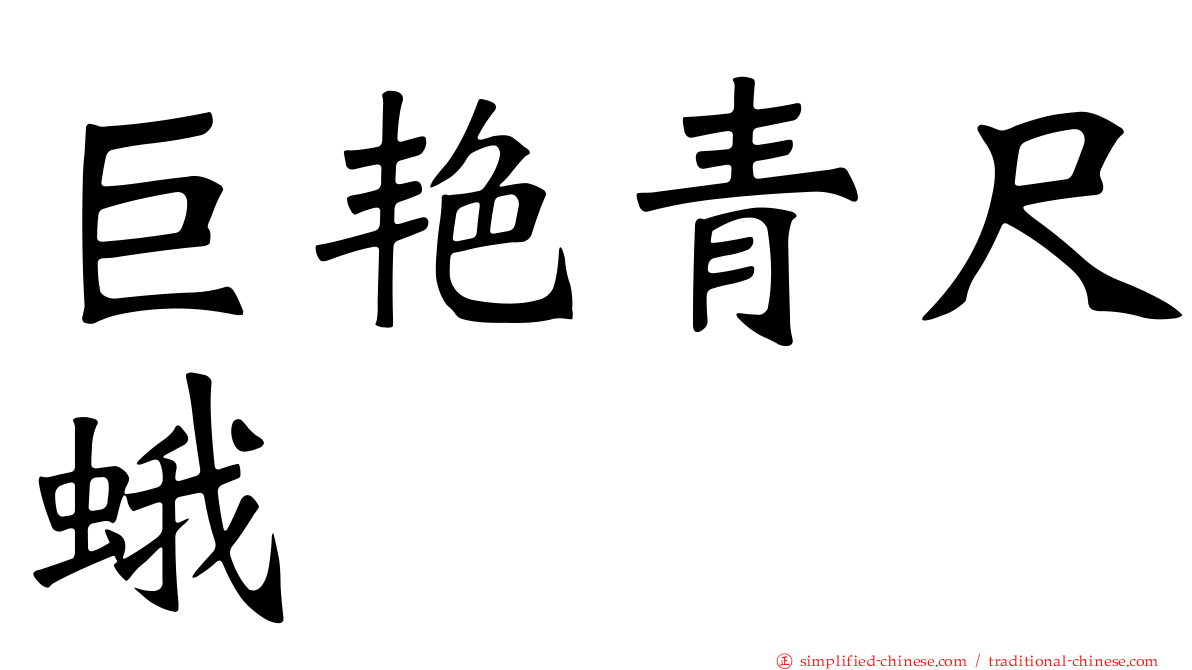 巨艳青尺蛾