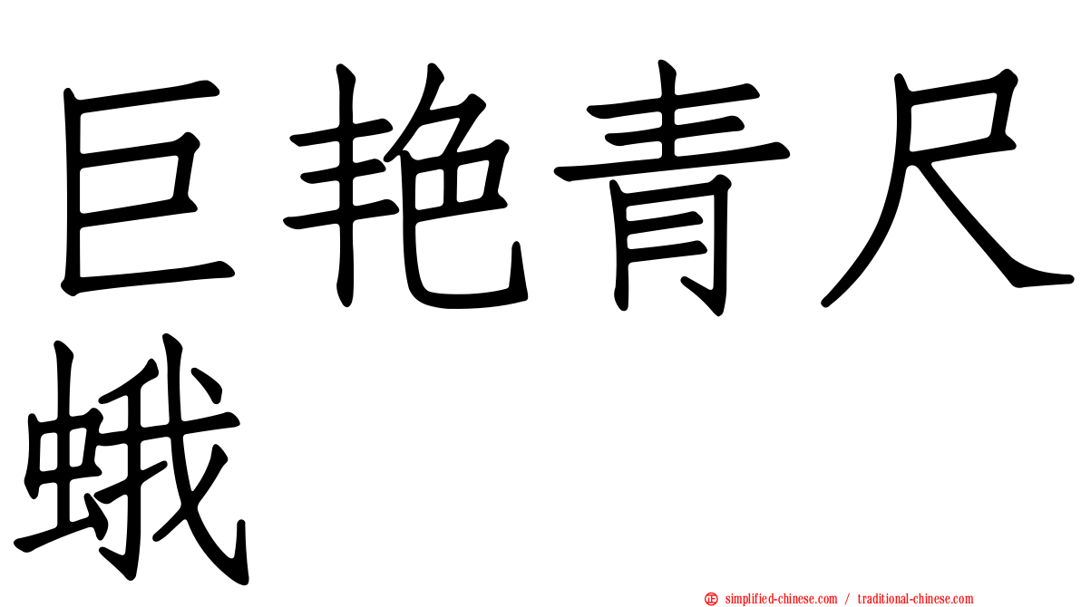 巨艳青尺蛾