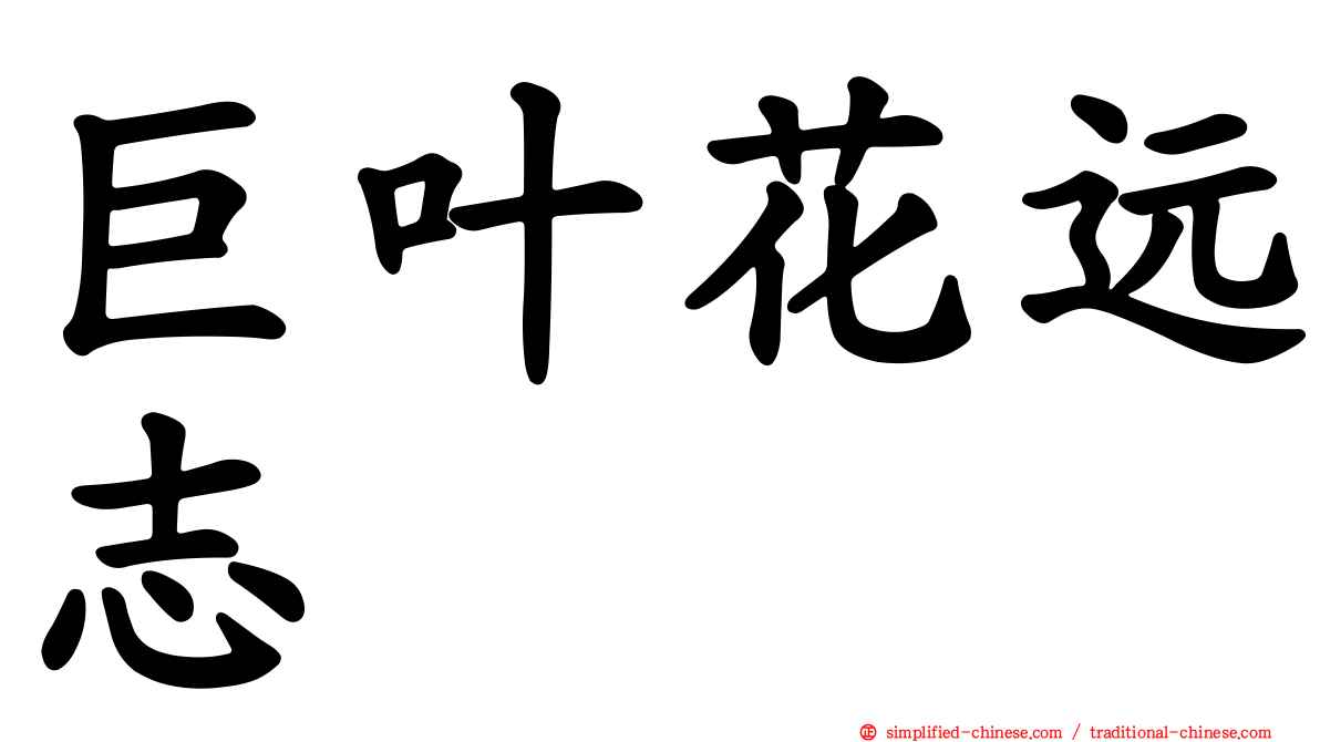 巨叶花远志