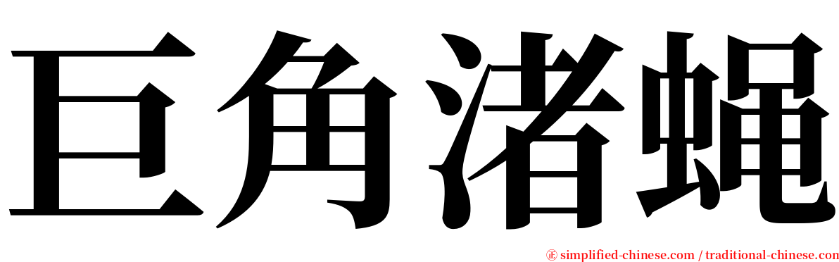 巨角渚蝇 serif font