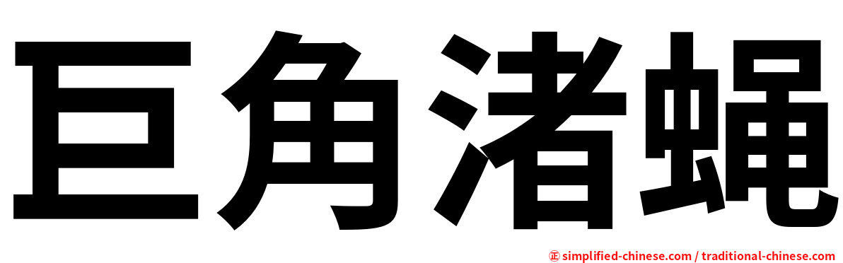 巨角渚蝇