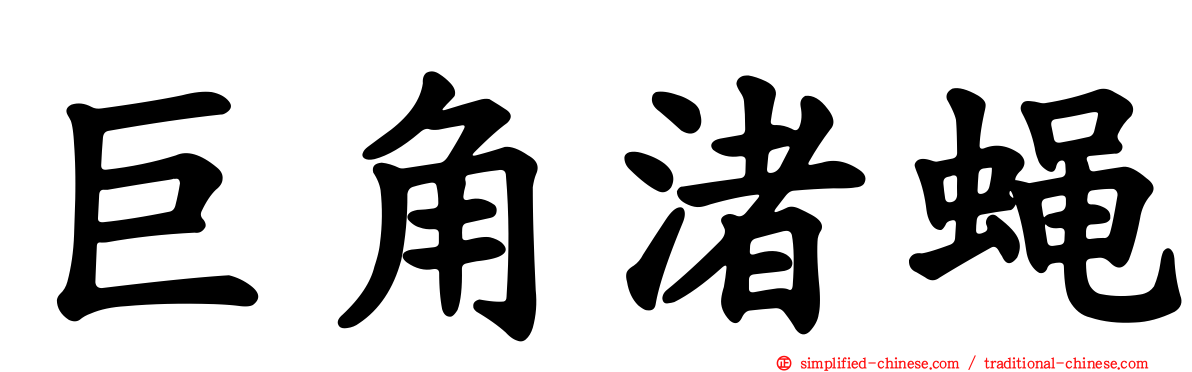 巨角渚蝇