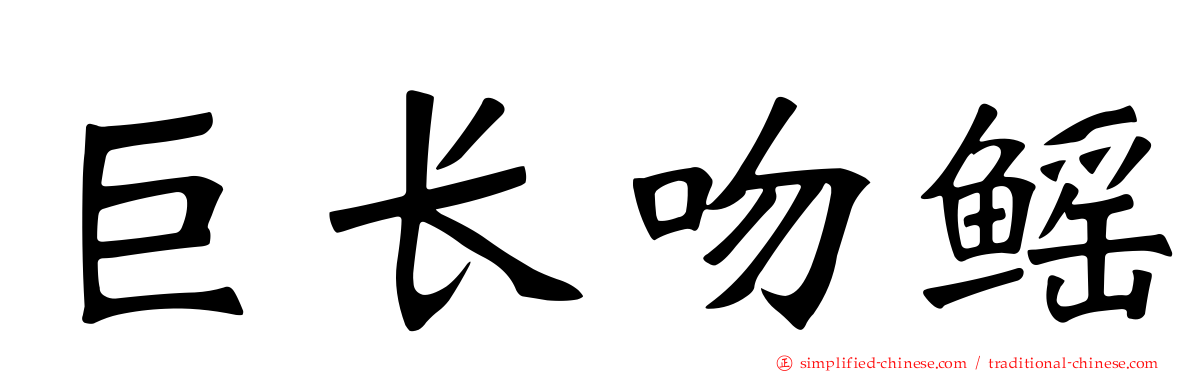 巨长吻鳐