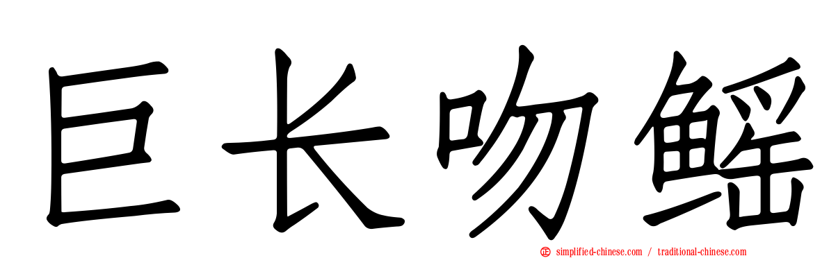巨长吻鳐