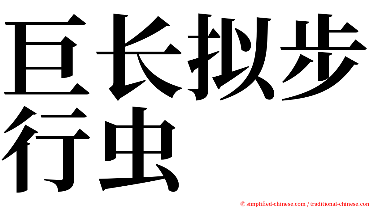 巨长拟步行虫 serif font