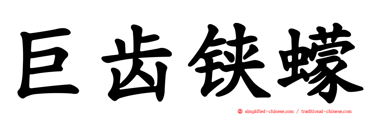 巨齿铗蠓