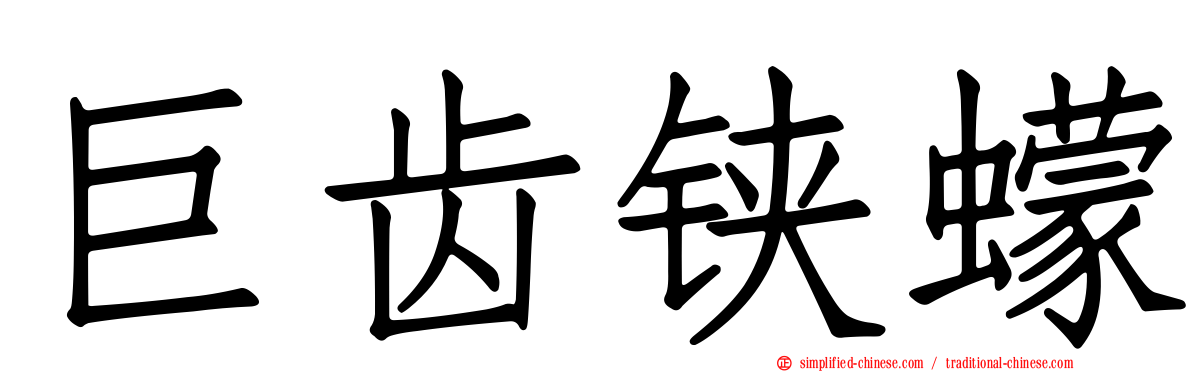 巨齿铗蠓