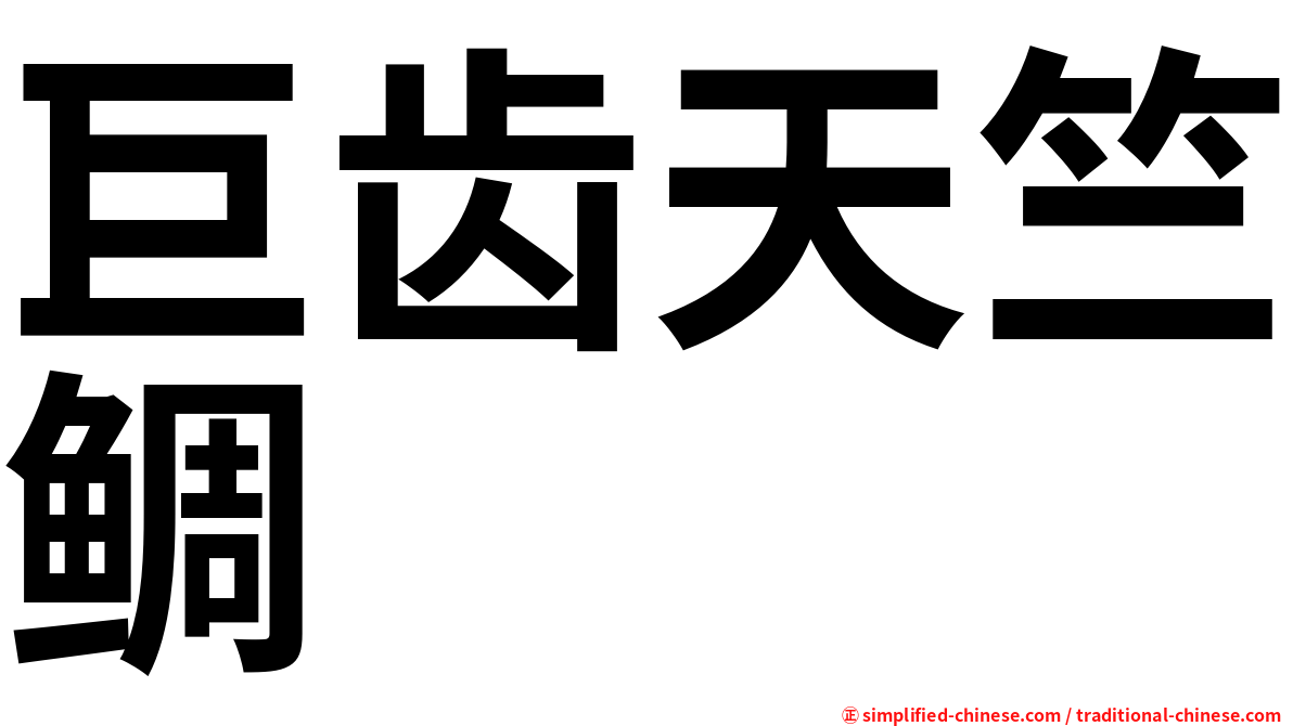 巨齿天竺鲷
