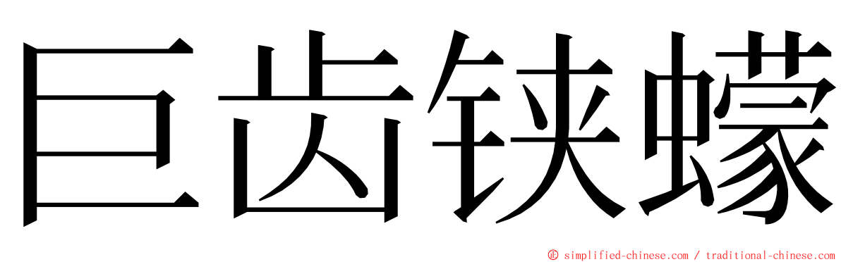 巨齿铗蠓 ming font