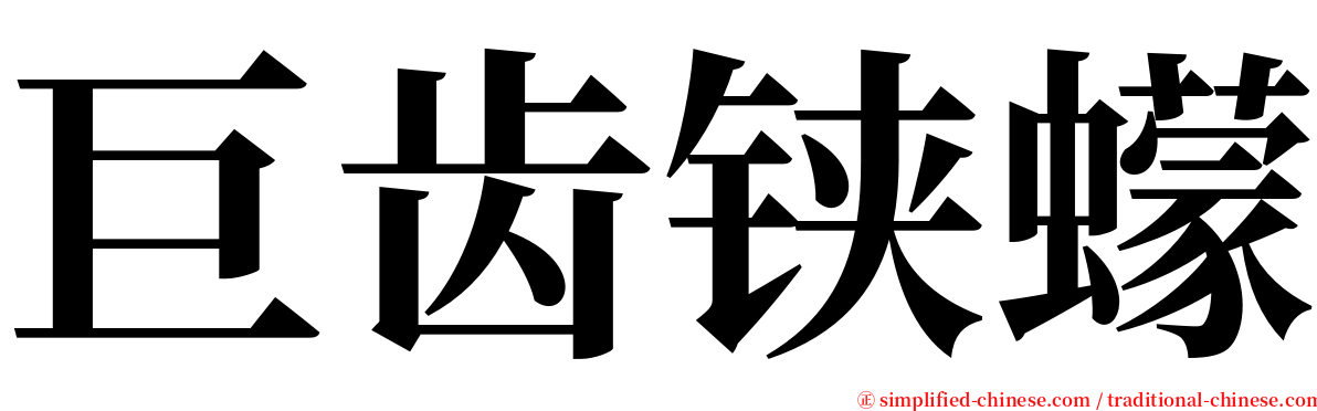 巨齿铗蠓 serif font