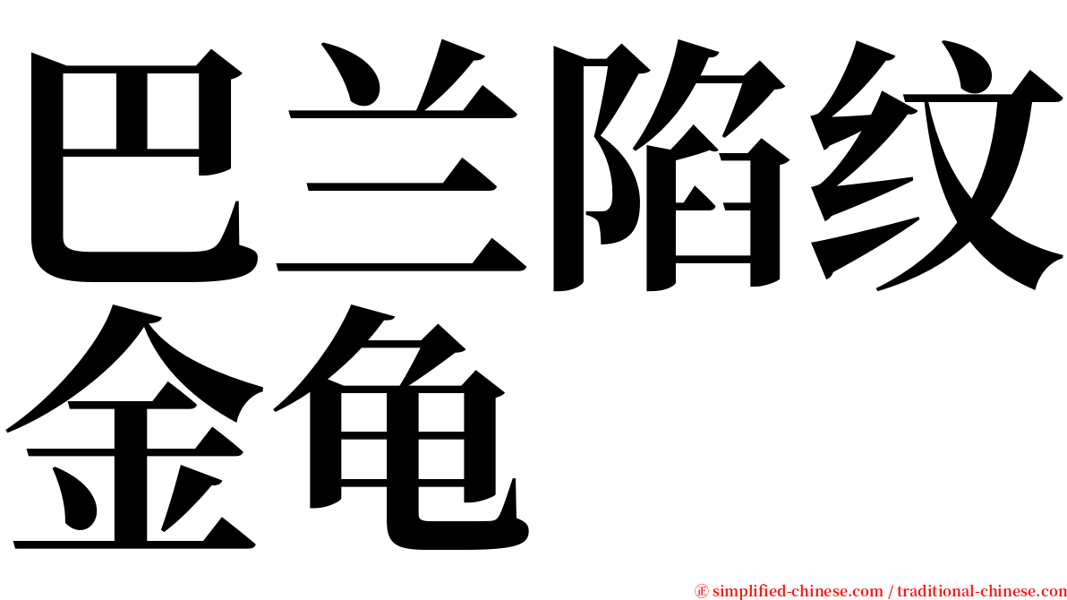 巴兰陷纹金龟 serif font