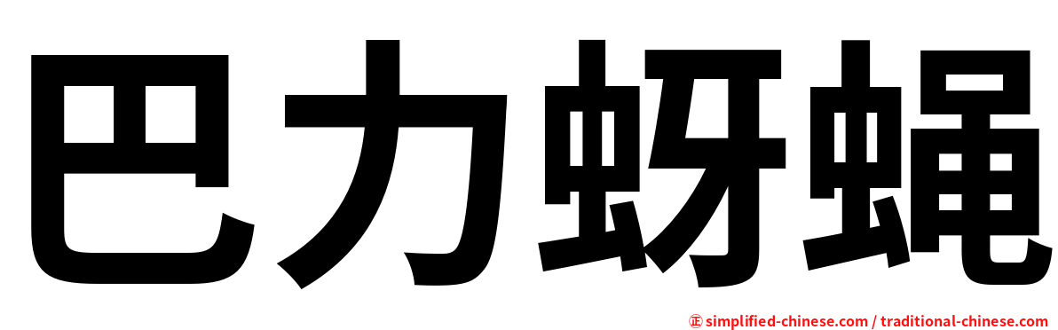 巴力蚜蝇