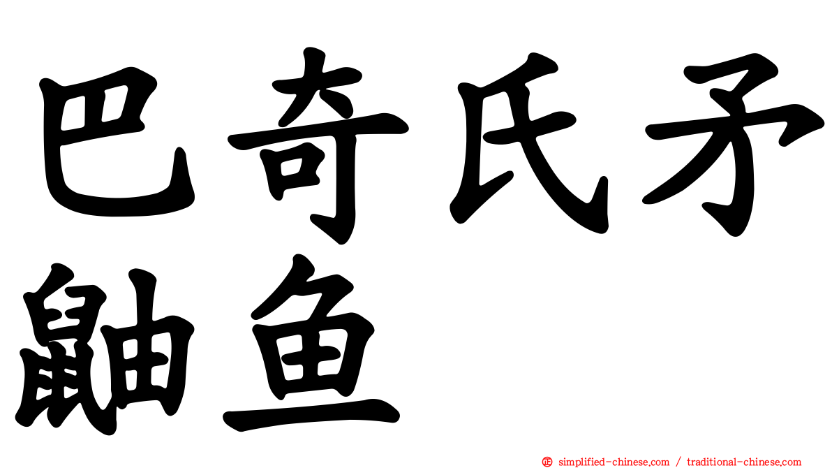 巴奇氏矛鼬鱼