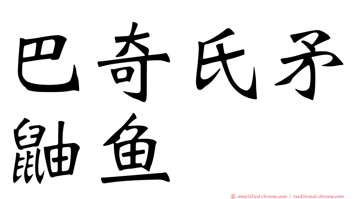 巴奇氏矛鼬鱼