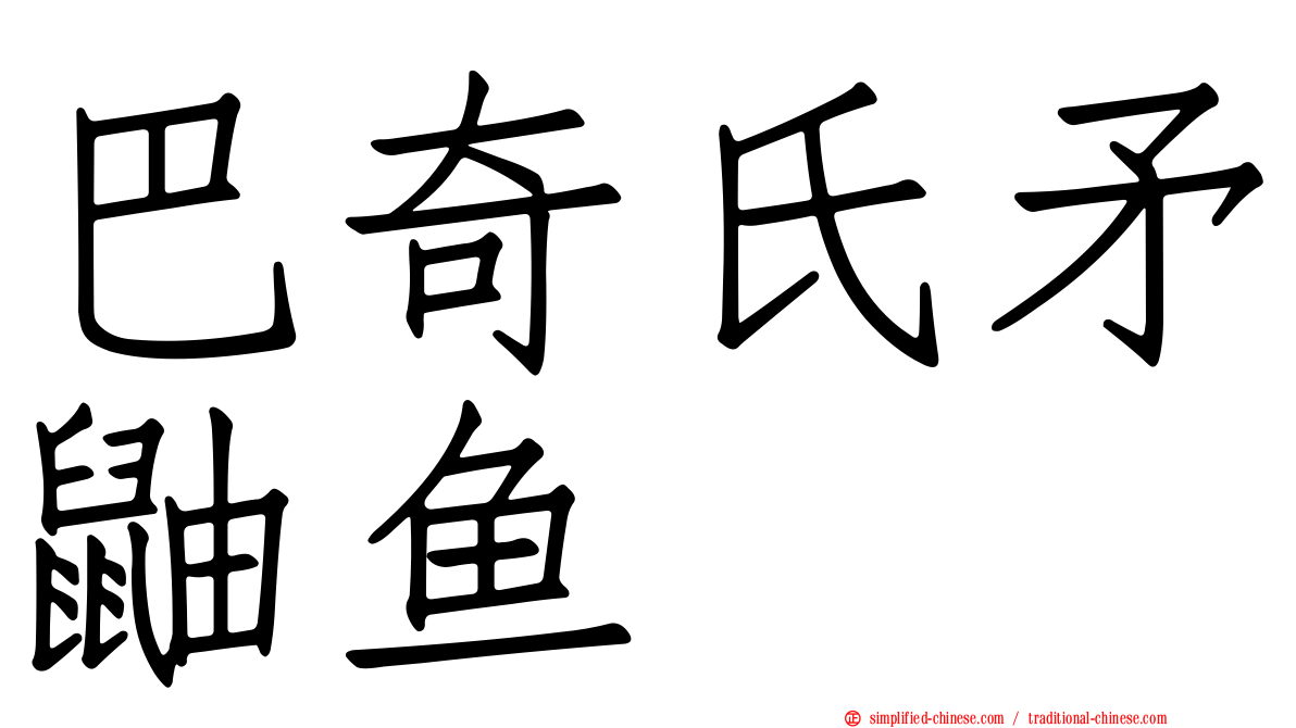 巴奇氏矛鼬鱼