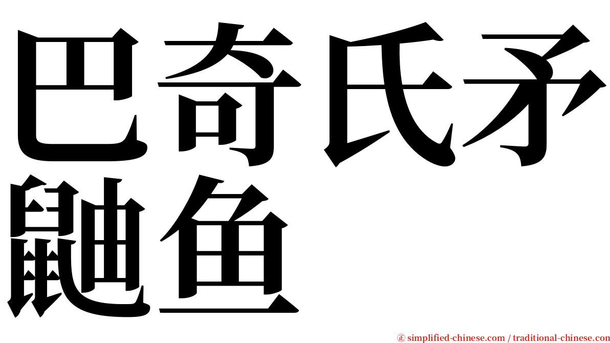 巴奇氏矛鼬鱼 serif font