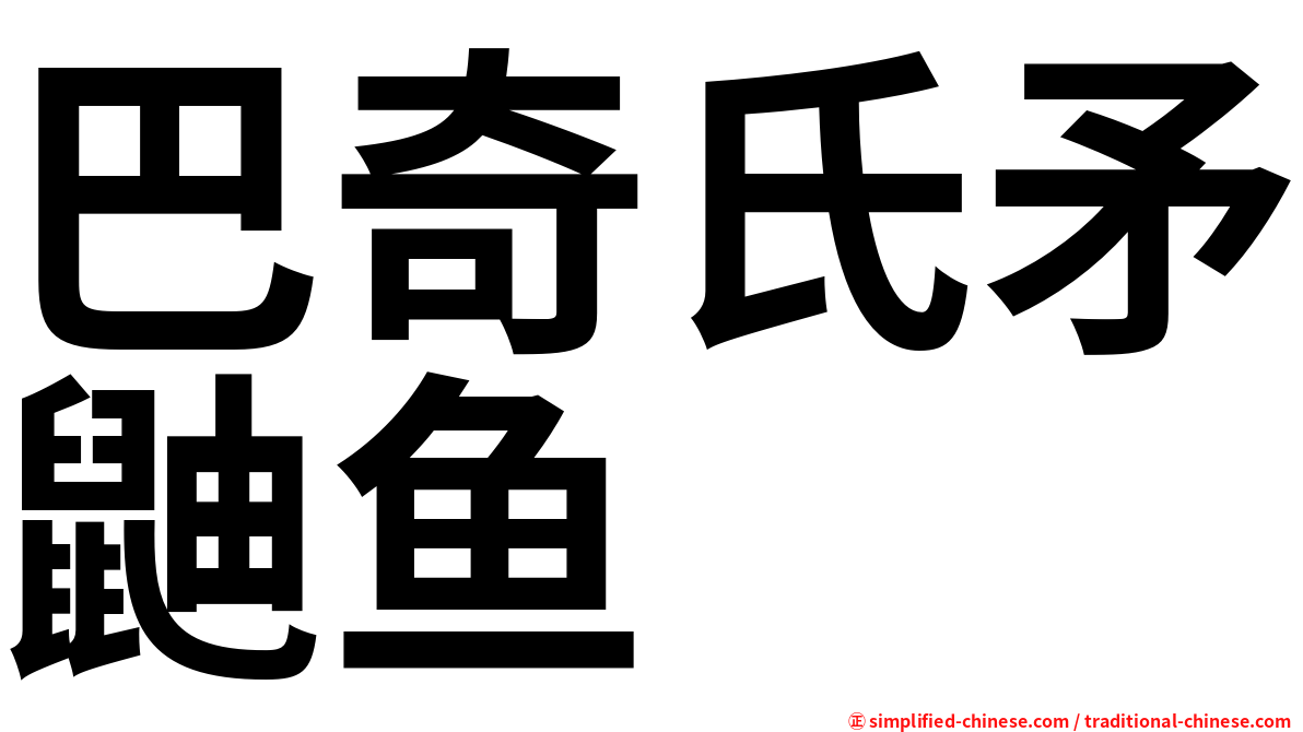 巴奇氏矛鼬鱼