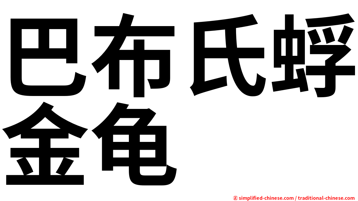 巴布氏蜉金龟