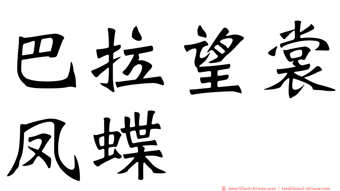 巴拉望裳凤蝶