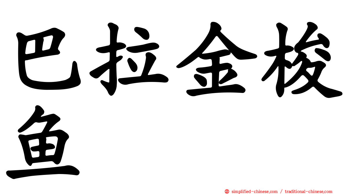 巴拉金梭鱼